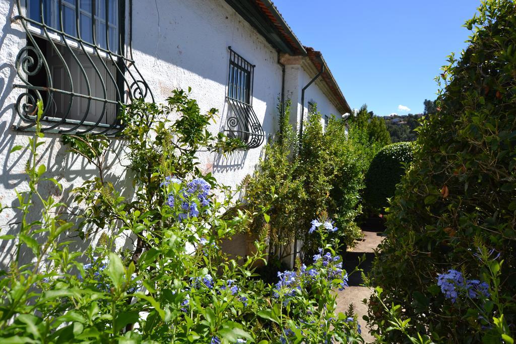 Casa Do Campo - Turismo De Habitacao Bed & Breakfast Celorico De Basto Luaran gambar